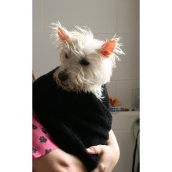 Safe and warm