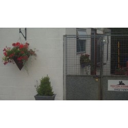 Our Kennels