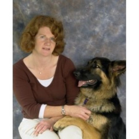 Dog Kennels Denbighshire Dog Kennels Denbighshire