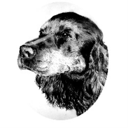 Dog Boutique in Laurencekirk, B1