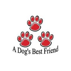 Positive training and pet care services in Gravesend, Kent