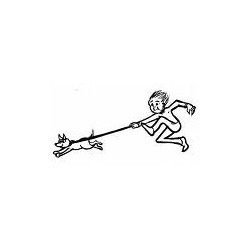 Reliable dog walking and pet sitting in Bolton, Lancashire