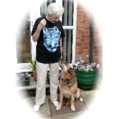 Dog barking behavior expert in Chorley, Lancashire