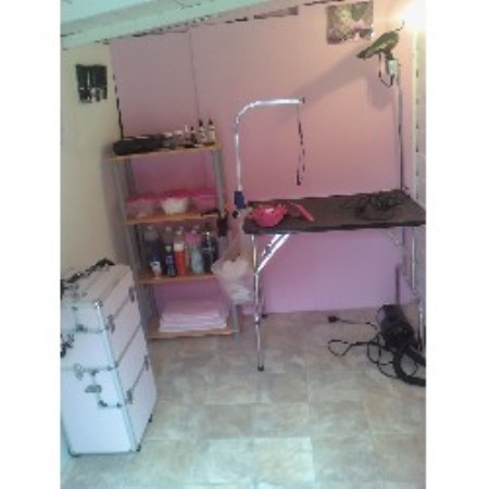 Mobile Dog Grooming Essex Mobile Dog Grooming Essex