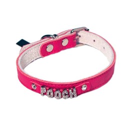 Speciality Dog Shop in London, A25