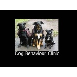 Dog Trainer in Biggar, East Lothian