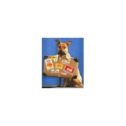 Dog with Suitcase