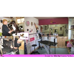 Studio