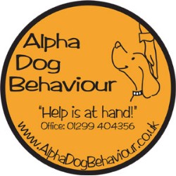 Puppy/Dog obedience training in Bewdley, Worcestershire