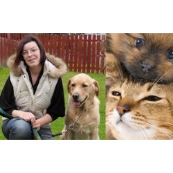 Puppy Trainer in Guildford, Surrey