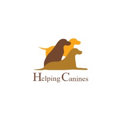 Obedient Dog Training in Leeds, West Yorkshire