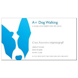 Dog walking in East Kilbride, Lanarkshire