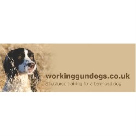 Canine Agility trainer in Leicester, Leicestershire