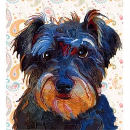 Dog Boutique in Trunch, A27