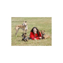 Experienced pet sitter and dog walker in Warminster, Wiltshire