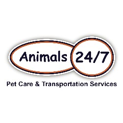 House sitting and walking for puppies and dogs in Northampton, Northamptonshire