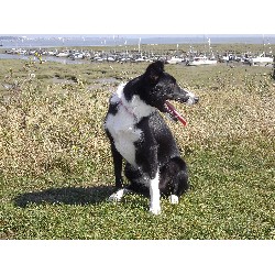 bella  on holiday