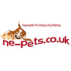 Pet sitter for dogs in Durham, Durham