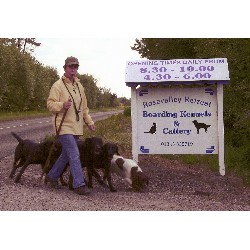 Rosevalley Retreat Dog Boarding and Cattery