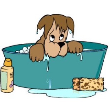 Dog Grooming Rochester Kent Dog Grooming Rochester Kent