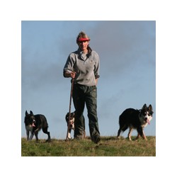 Dog Trainer in Heriot, Midlothian