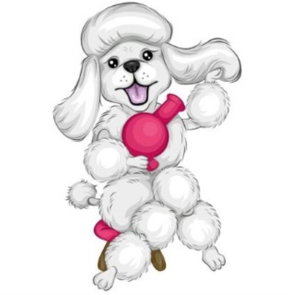 Dog Friendly Widnes Dog Friendly Widnes