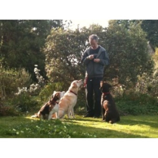 Stonehouse Dog Training Stonehouse Dog Training