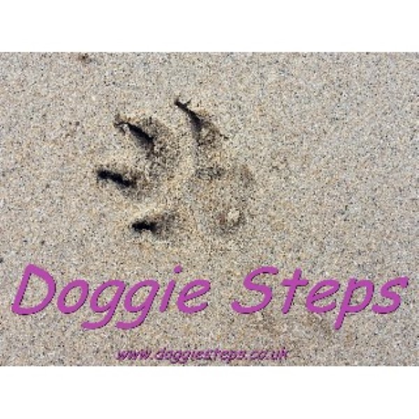 Doggie Steps