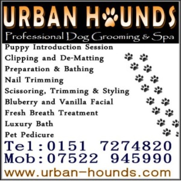 Mobile Dog Grooming Bootle Liverpool Mobile Dog Grooming Bootle Liverpool