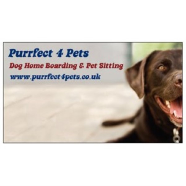 Purrfect 4 Pets Dog Home Boarding and Pet Sitting