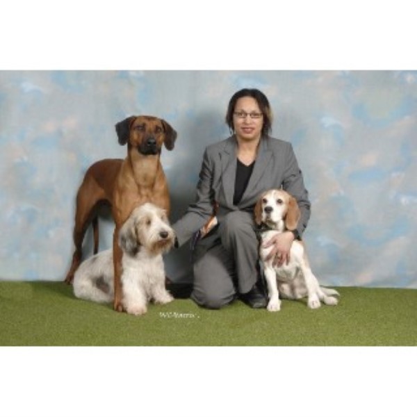 Grooming Services and Dog Groomers, Mobile Groomers near ...