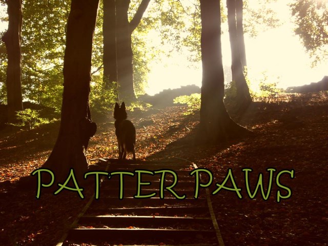 Patter Paws