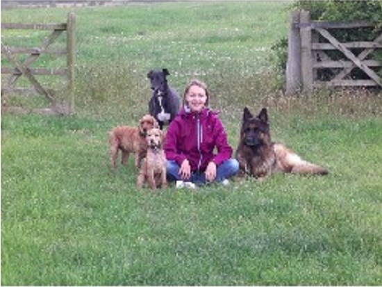 Dog Training In Cleckheaton Dog Training In Cleckheaton