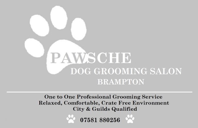 Pawsche Dog Grooming Salon