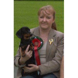 Dachshund Breeder in Wigan, Lancashire