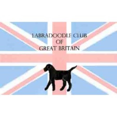 Labradoodle Club of Great Britain
