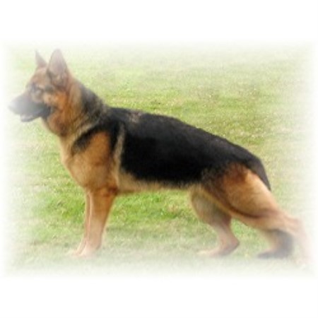 one of females