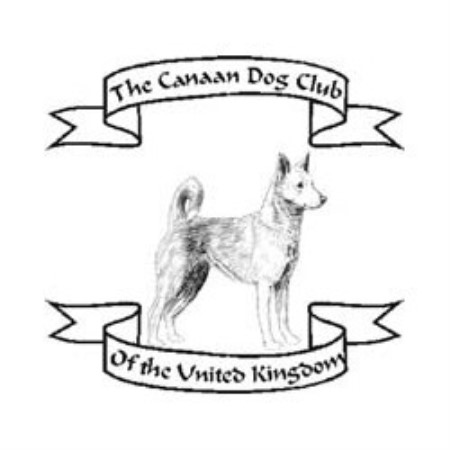 Canaan Dog Club Of The United Kingdom