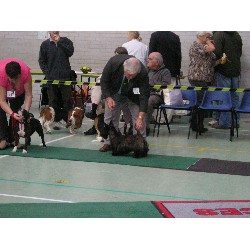 Georgie with Francis winning best puppy in group