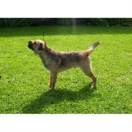 Buster