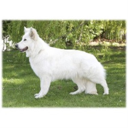 Trulywayside Delilah 