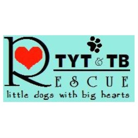 Yorkshire Terrier and Toy Breed Rescue