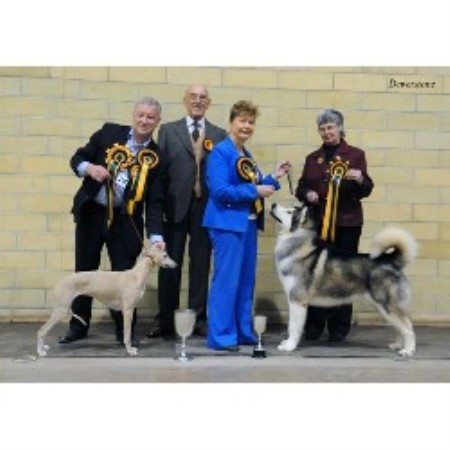 Winners at Open Show 2008