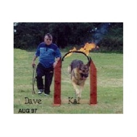 FIRE JUMP