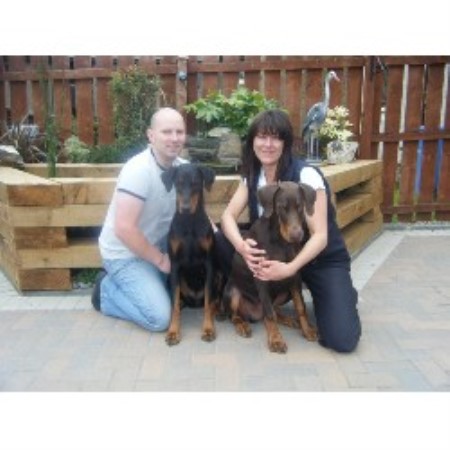 Doberman Pinscher Breeder in Dundee, Angus