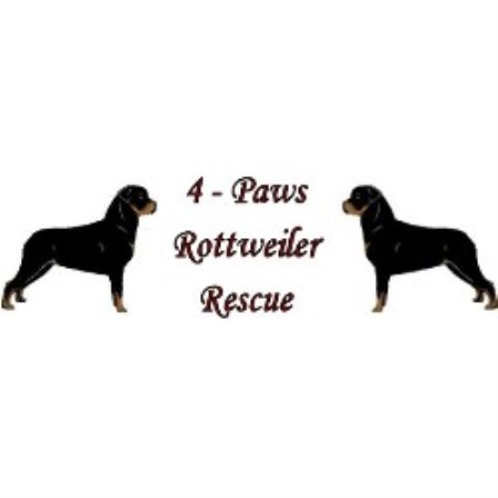 4 paws logo