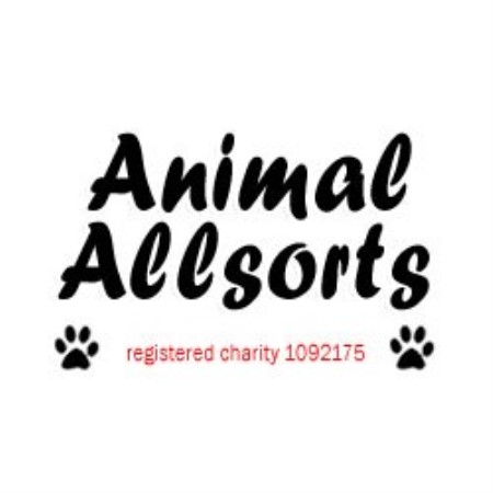 Animal Allsorts Logo