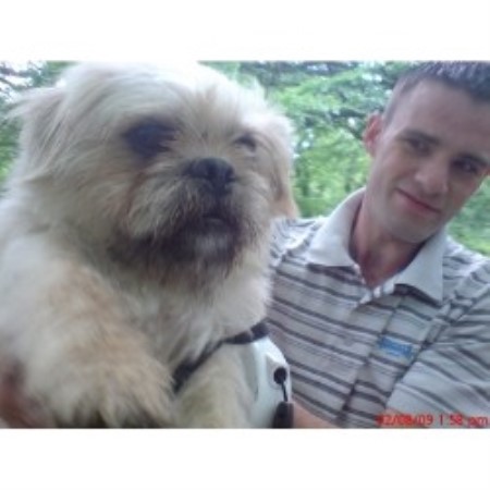 Lhasa Apso Stud in West Yorkshire