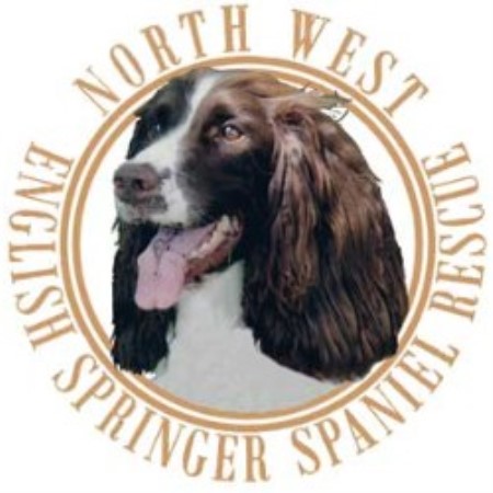 Nwessr, North West English Springer Spaniel Rescue Shelter Club
