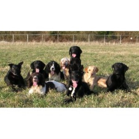 Group Shot